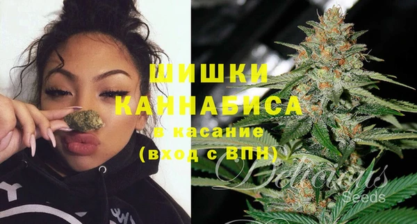 молекула духа Алексин