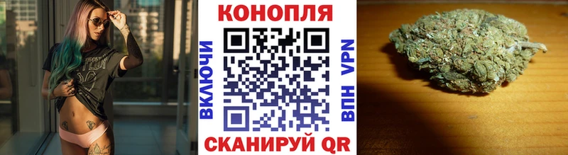 хочу   Кировград  Шишки марихуана семена 